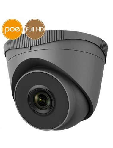 Telecamera dome IP SAFIRE PoE - Full HD (1080p) - IR 30m