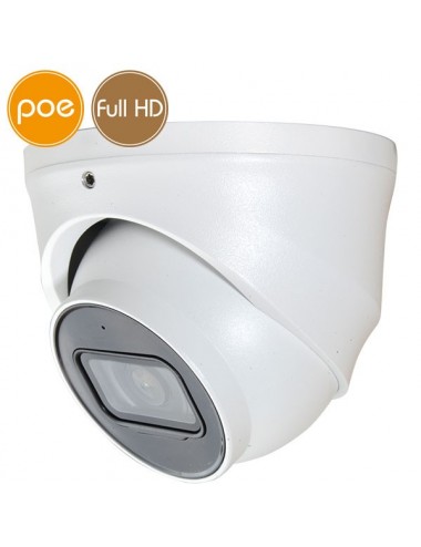 Telecamera dome IP PoE - Full HD  - Ultra Low Light - Microfono -  IR 30m