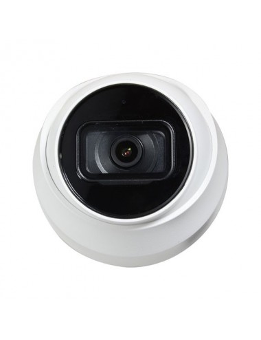 Dome camera IP PoE - Full HD - Ultra Low Light - Mic - IR 30m