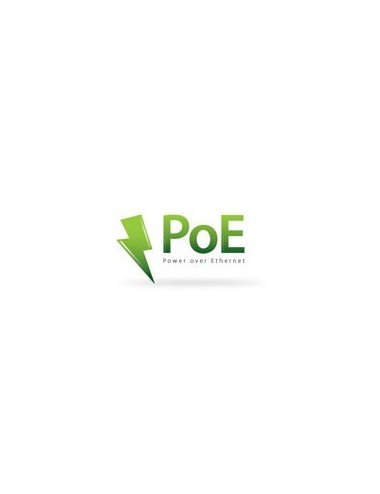 Telecamera IP PoE PTZ - Full HD - Ultra Low Light - Zoom 4X - IR 30m